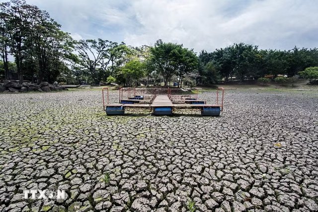 Siêu El Niño: Việt Nam và Đông Nam Á đối mặt những rủi ro nào?