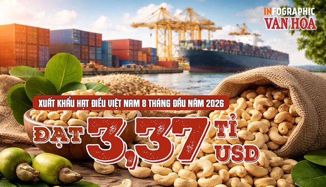 Xuất khẩu hạt điều đạt 3,37 tỉ USD dù lượng giảm 0,9%