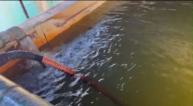 Hải Phòng: Người dân xã Tân Minh mong mỏi được dùng nước sạch