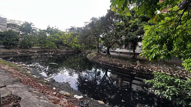 Mương Hồ Sen ở Hải Phòng ô nhiễm nghiêm trọng, ảnh hưởng hàng trăm hộ dân