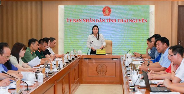 Festival Trà Quốc tế Thái Nguyên 2026 vào chặng nước rút