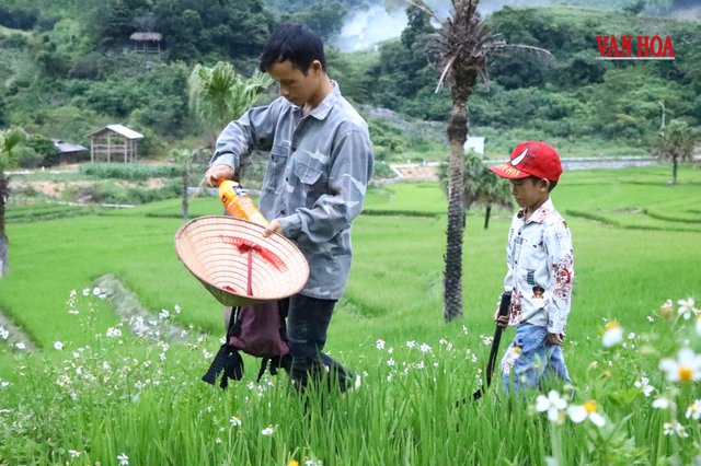 Kỳ 1 - Khi mầm chữ trổ bông trên nương đá Bản Tèn