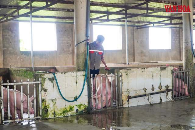 27 cơ sở giết mổ ở Hà Tĩnh không đủ điều kiện an toàn thực phẩm