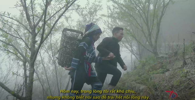 Đi trong sương