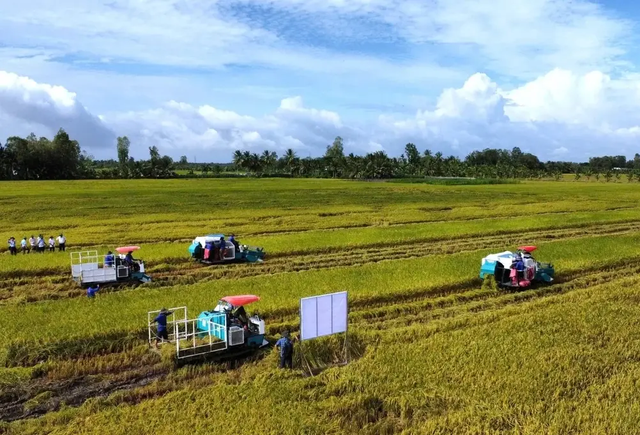 Doanh nghiệp, hiệp hội chung tay giữ nhịp sản xuất nông nghiệp