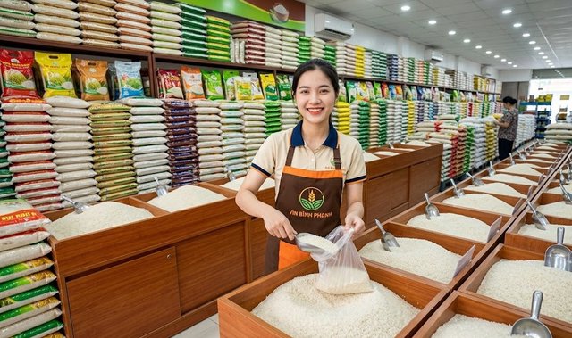 Giá lúa gạo hôm nay 22.6: Lúa trong nước ổn định, gạo xuất khẩu nhích nhẹ