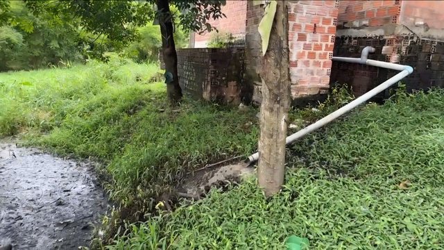 Trang trại heo bị phản ánh ô nhiễm: Kiểm tra phát hiện nhiều tồn tại