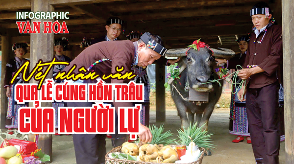 Nét nhân văn trong lễ Sú Khon Khoài – lễ cúng hồn trâu truyền thống của Người Lự ở Lai Châu