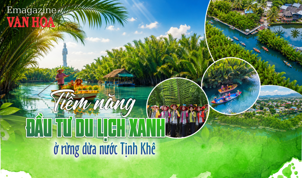Tiềm năng đầu tư du lịch xanh tại rừng dừa nước Tịnh Khê bên sông Trà Khúc, Quảng Ngãi