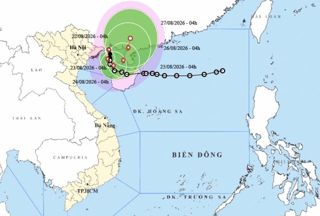 Hải Phòng, Quảng Ninh tạm dừng hoạt động tàu thuyền trên biển để ứng phó bão số 4