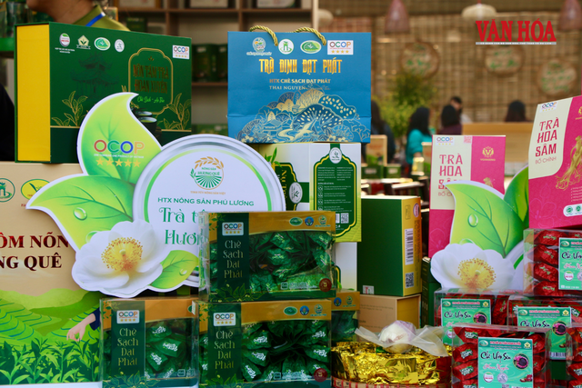 Chuẩn OCOP mở lối nâng tầm du lịch cộng đồng Việt Nam