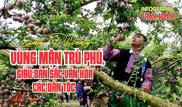 Lóng Phiêng Sơn La ngày hội mận 2026 vùng mận trù phú giàu bản sắc văn hóa dân tộc