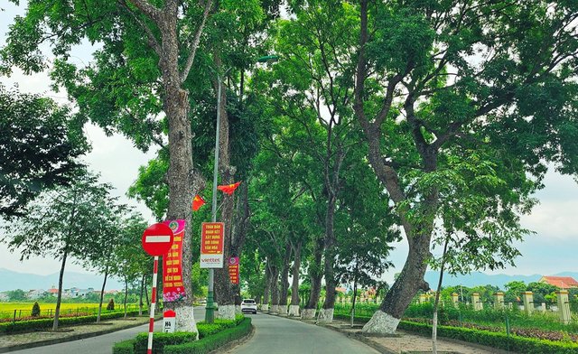 Tạm cấm đường, phân luồng giao thông phục vụ Lễ hội Làng Sen 2026