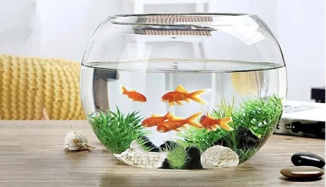 Vật phẩm phong thủy để bàn làm việc được tìm kiếm nhiều dịp đầu năm