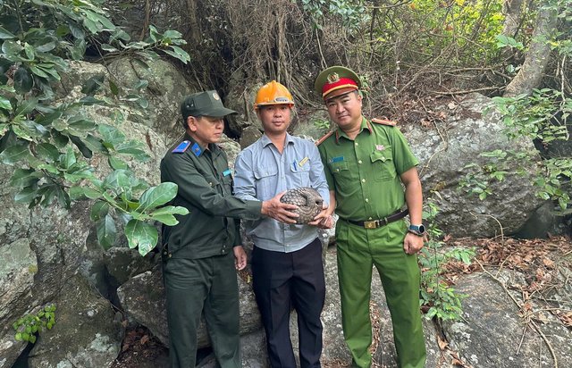 Lực lượng chức năng thả tê tê quý hiếm về rừng