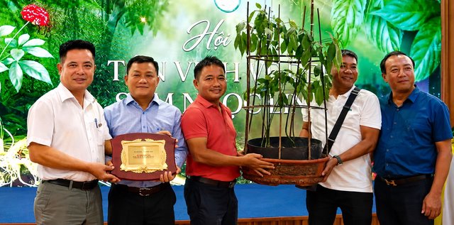 Cây sâm đoạt Giải nhất nhóm sâm trên 10 năm tuổi được đấu giá thành công với mức 725 triệu đồng