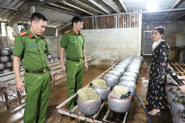 Phát hiện cơ sở dùng “nước kẹo” sản xuất giá đỗ ở Hà Tĩnh