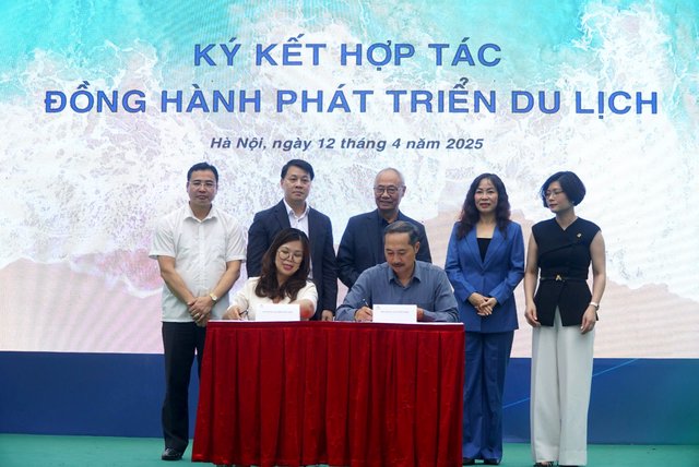 Khám phá Đà Nẵng 2025 với những hoạt động du lịch đa trải nghiệm
