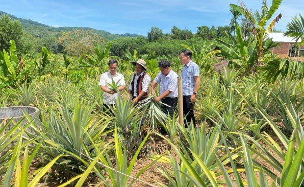 Đưa thông tin đến với nông dân, tạo động lực giảm nghèo bền vững