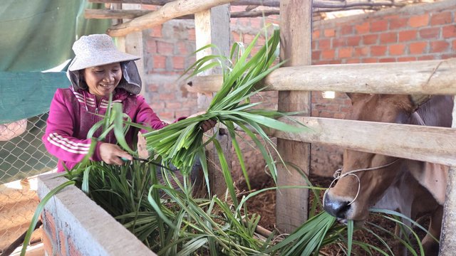 Xã Mộ Đức đẩy mạnh công tác giảm nghèo bền vững