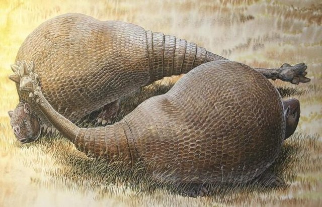 Hé lộ sự thật về việc săn bắt tê tê ở Tây Phi