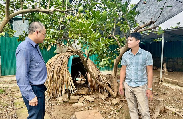 Nuôi con đặc sản mở hướng chăn nuôi xanh ở Phượng Dực