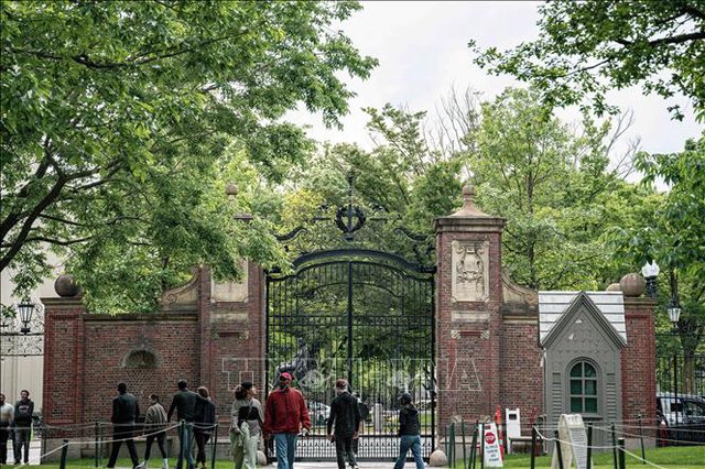 Căng thẳng tại tòa án liên bang giữa Harvard và chính quyền Tổng thống Trump