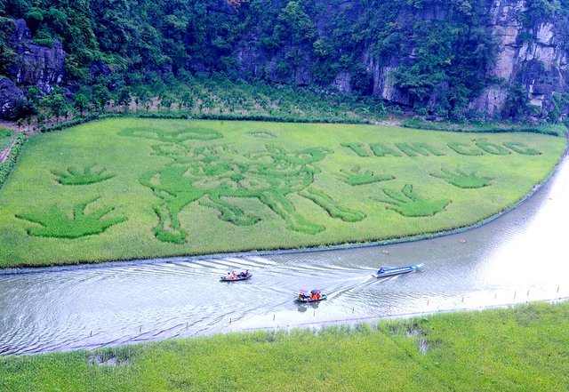 Tuần lễ du lịch Ninh Bình “Sắc vàng Tam Cốc - Tràng An” năm 2024