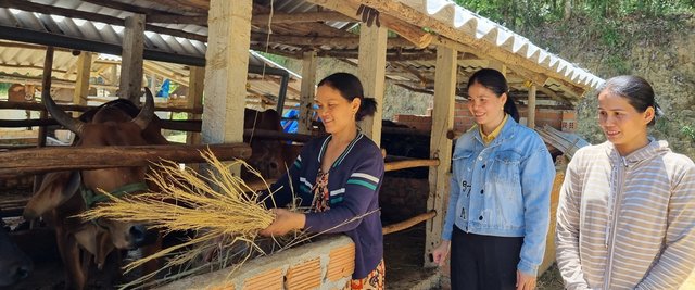 Xã Hành Tín Đông chăm lo chỗ ở và sinh kế cho hộ nghèo