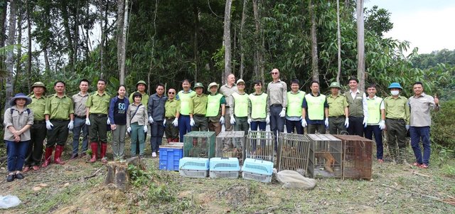 Tái thả nhiều cá thể động vật rừng về môi trường tự nhiên