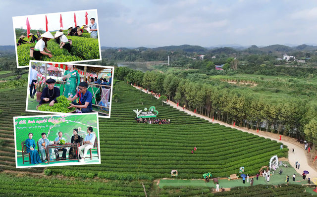 Đánh thức giá trị văn hóa trà Trại Cài từ trải nghiệm di sản