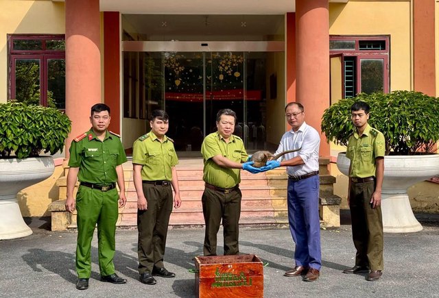 Bàn giao cá thể tê tê Java quý hiếm cho Vườn quốc gia Cúc Phương