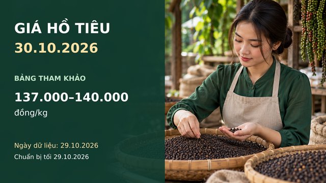 Giá hồ tiêu hôm nay 30.10.2026: Chờ lực mua xuất khẩu cuối năm