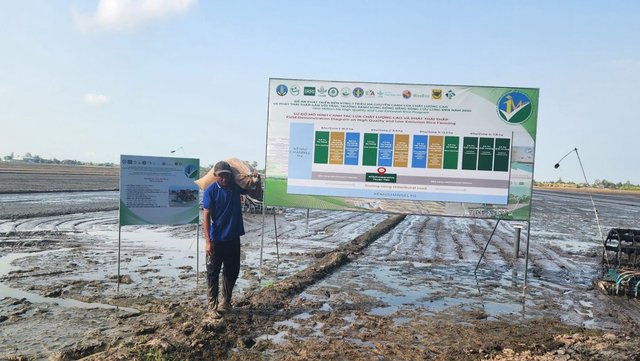 Nhiều phụ nữ và đồng bào dân tộc thiểu số được hưởng lợi từ dự án lúa gạo bền vững ở ĐBSCL