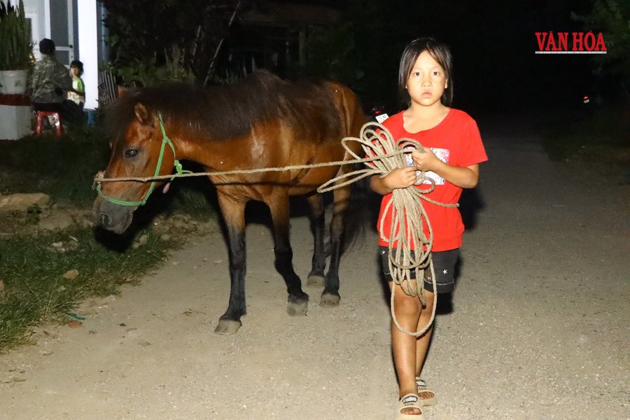 Kỳ 1 - Khi mầm chữ trổ bông trên nương đá Bản Tèn