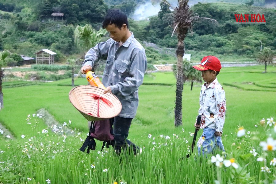 Những đứa trẻ đi đồng ruộng cùng bố mẹ