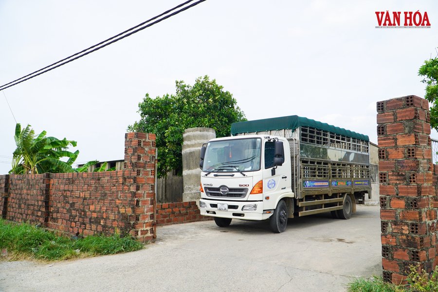 Dù không đủ điều kiện an toàn thực phẩm nhưng cơ sở giết mổ tập trung Thạch Đồng và nhiều cơ sở khác trên địa bàn Hà Tĩnh vẫn đang hoạt động