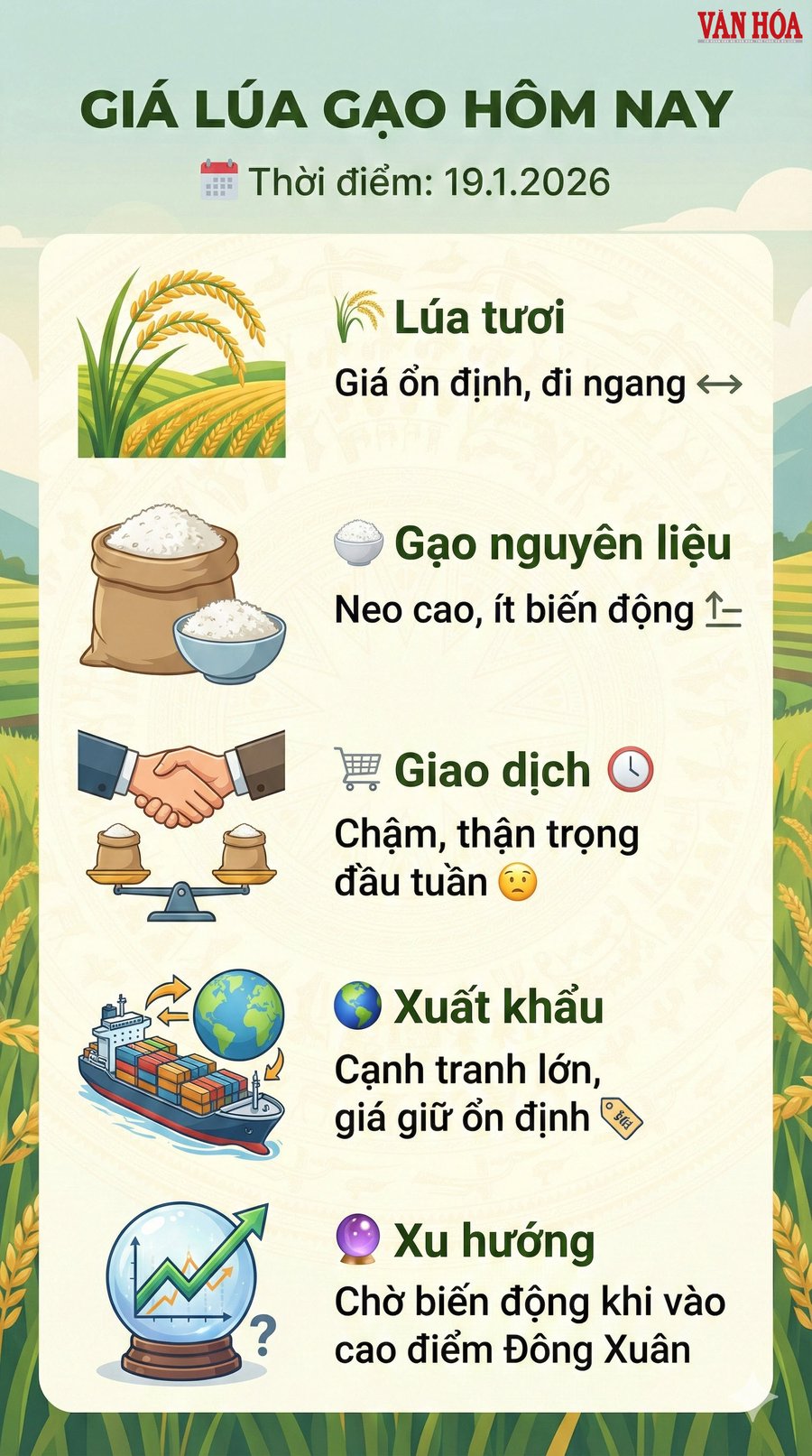 Giá lúa gạo hôm nay 19.1: Giao dịch chậm đầu tuần