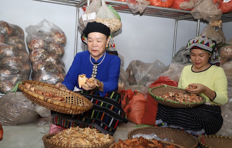 Lương y Lang Thị Quynh và con gái bốc thuốc cho người bệnh.