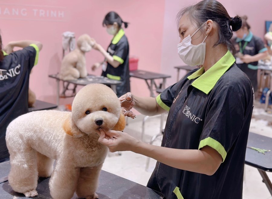 Cận kề Tết Nguyên đán, không chỉ các tiệm làm đẹp cho người mà cả những spa dành cho thú cưng cũng trở nên tất bật