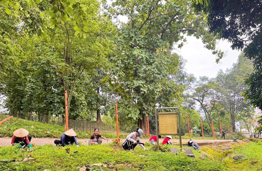 “Chiến dịch Xanh” góp sức gìn giữ di tích Đồi A1