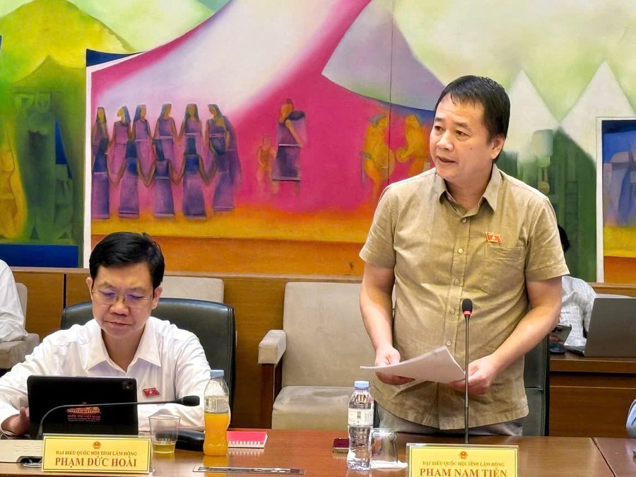 Đại biểu Phạm Nam Tiến phát biểu