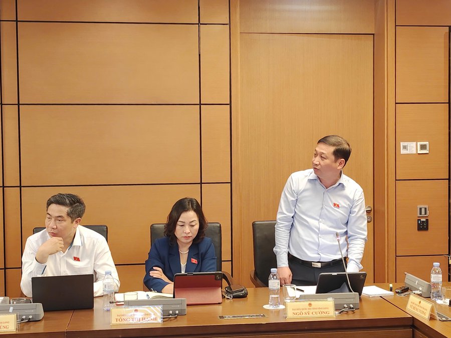 Đại biểu Ngô Sỹ Cường phát biểu