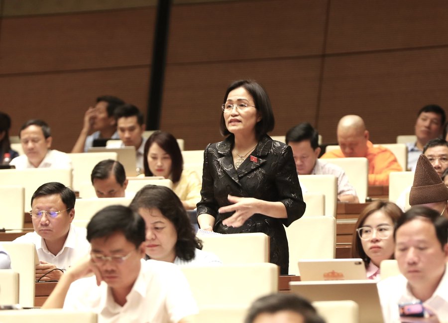 Đại biểu Trần Thị Kim Nhung phát biểu