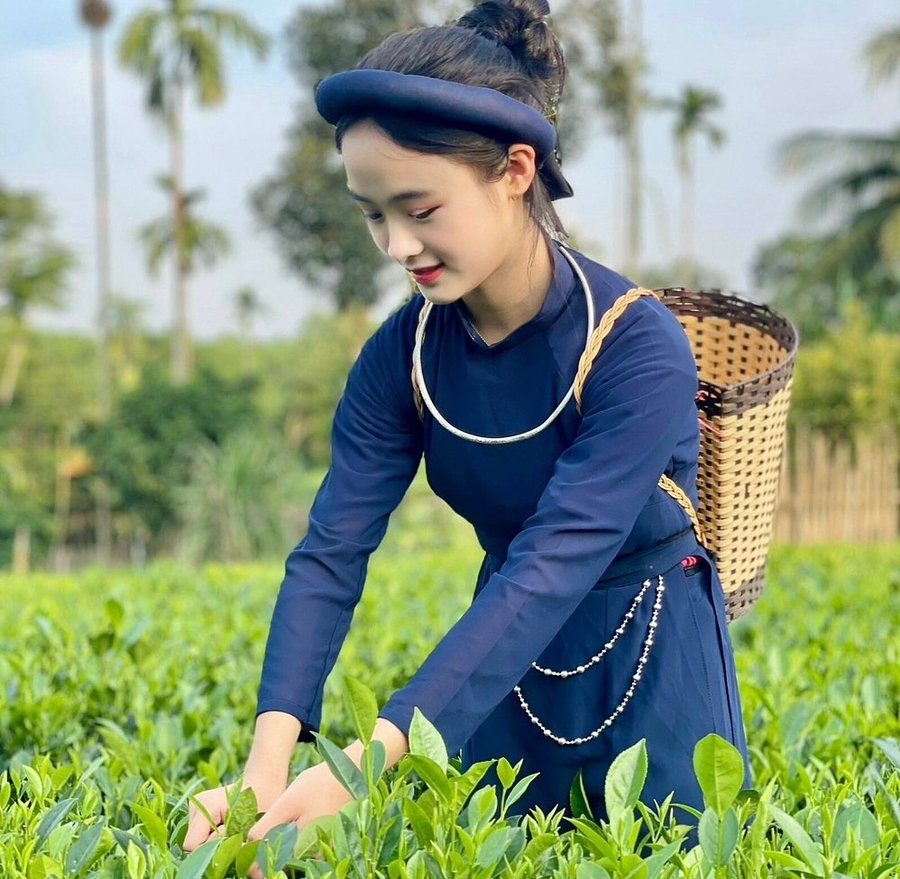 Người trẻ tham gia mô hình HTX ở Thái Nguyên (ảnh vca.org.vn)