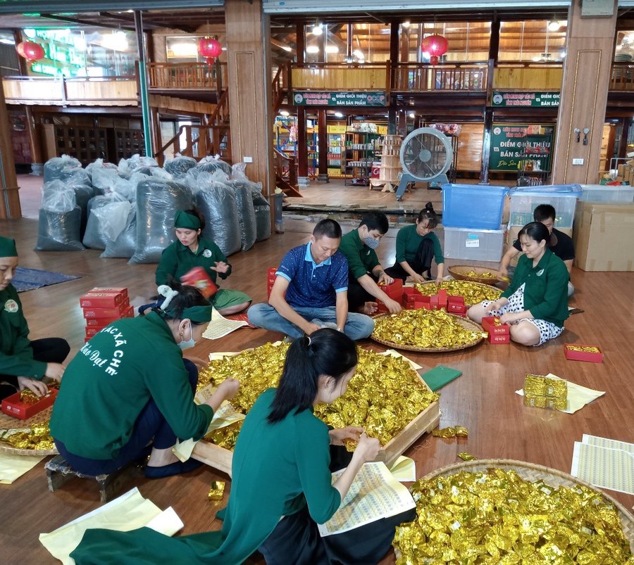 Nhiều HTX chè thành công ở Thái Nguyên