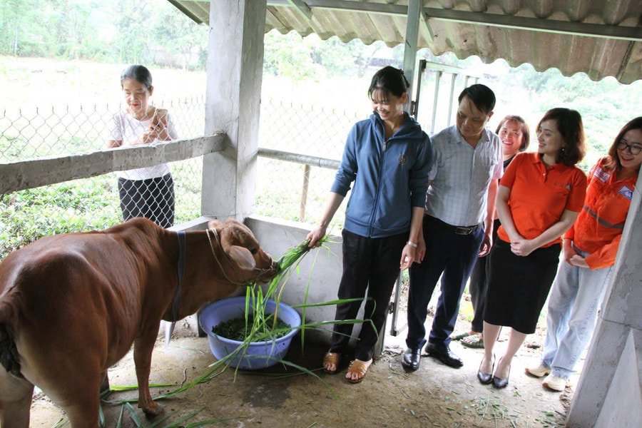 Trao sinh kế không chỉ là hỗ trợ vật chất mà còn tiếp thêm động lực để phụ nữ dân tộc thiểu số ở Thái Nguyên vượt qua khó khăn