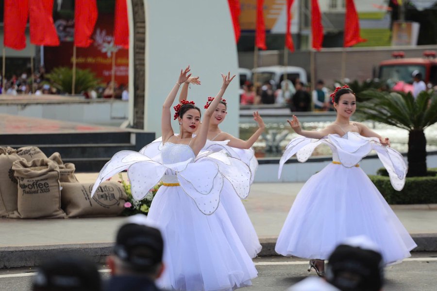 Toả sáng những bông hoa cà phê