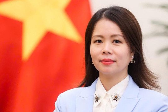 Thứ trưởng Bộ Ngoại giao Nguyễn Minh Hằng. Ảnh: BNG