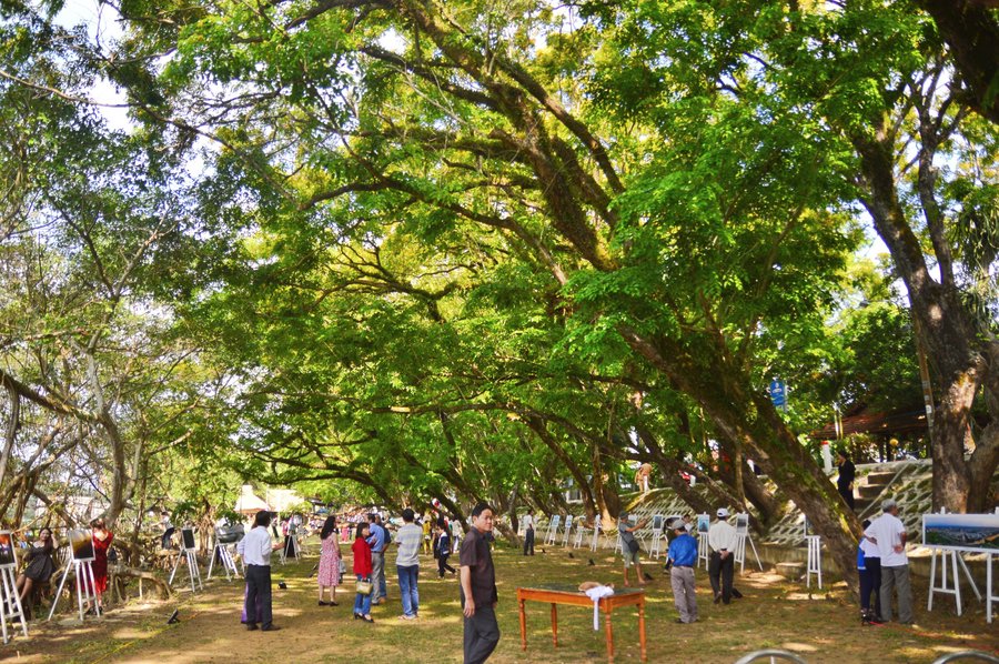Ngày hội Văn hóa, Thể thao và Du lịch biển Tam Kỳ - Anh 2